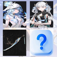 Asia|Female Level 8| The Shorekeeper + Jinhsi + Jinhsi Weapon + Random 5 stars | Random 4 stars |The novice pool is not used