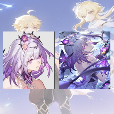 [Asia Female] Castorice + Castorice Weapon | Level 40+  used 0-5 four-star characters |