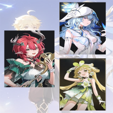 Asia lv 8| Ciaccona + The Shorekeeper + verina | Random 4 stars |The novice pool is not used