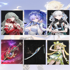 Asia lv 8| Phrolova + CantaRella + Jinhsi + Phrolova Weapon + Jinhsi Weapon + verina | Random 4 stars |The novice pool is not used