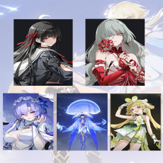 Asia| Chisa + Phrolova + CantaRella + CantaRella Weapon + verina | Random 4 stars |The novice pool is not used